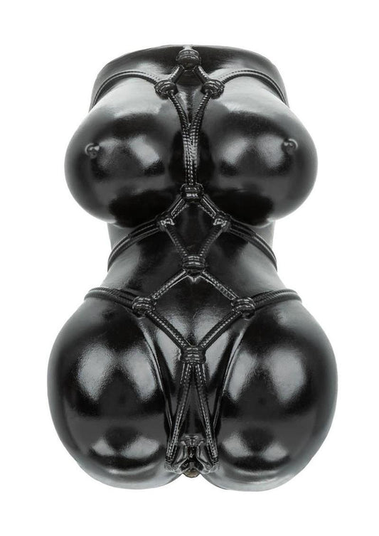 Anime Stroker Misty Pussy - Chocolate