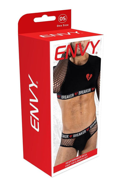 Heartbreaker Mesh Crop Top and Briefs