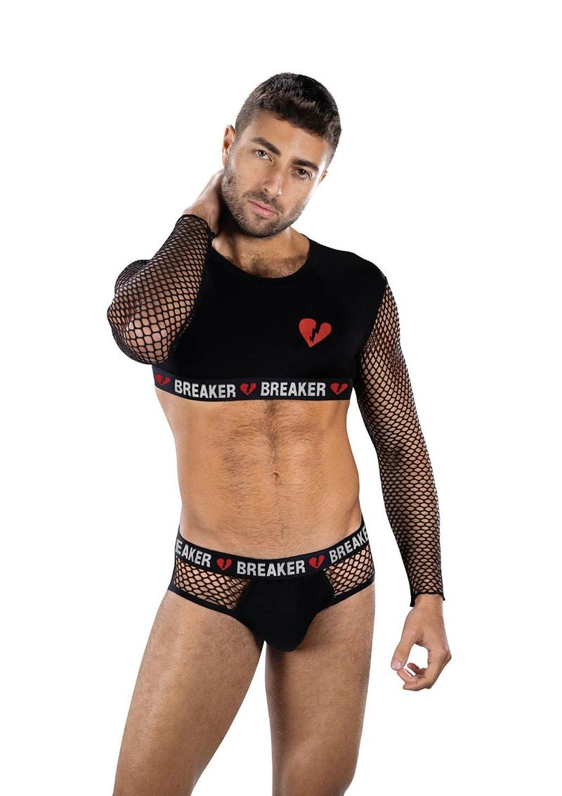 Heartbreaker Mesh Crop Top and Briefs - Set