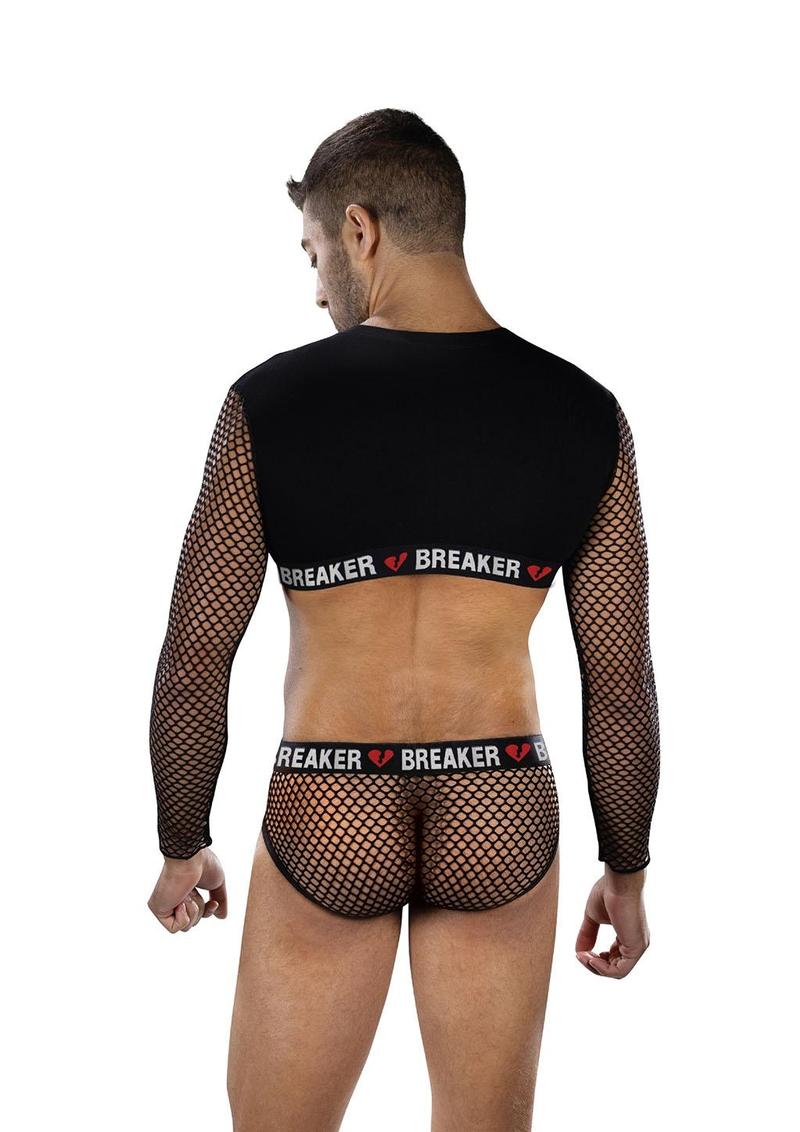 Heartbreaker Mesh Crop Top and Briefs - Set