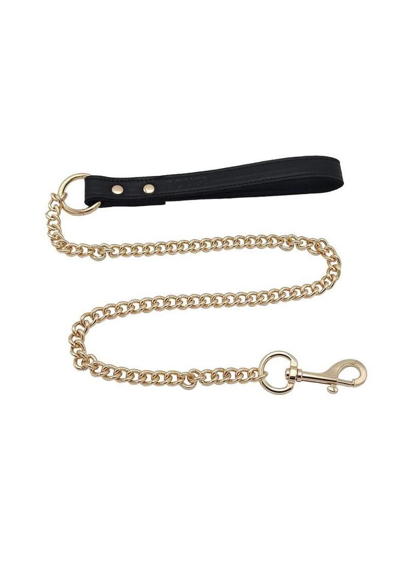 Leather Lead with Gold Accessories - Black/Gold
