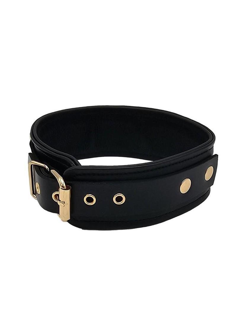 Leather Plain Collar with Gold Accessories - Black/Gold