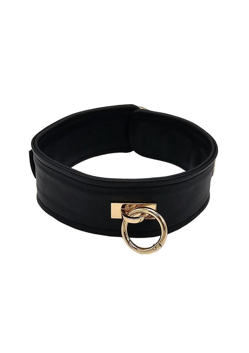 Leather Plain Collar with Gold Accessories - Black/Gold