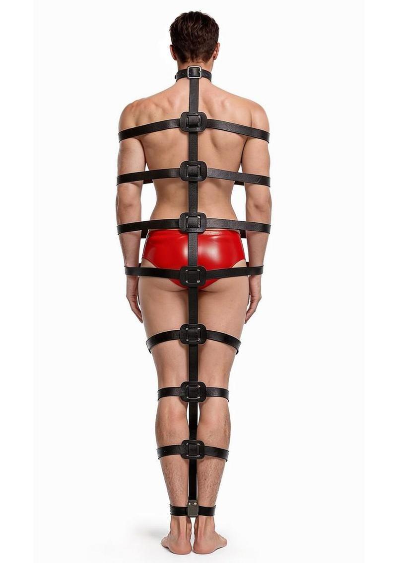 Master Series Backbone Full Body Harness