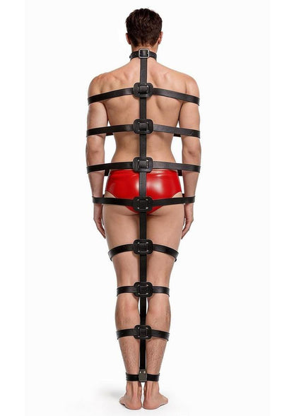 Master Series Backbone Full Body Harness