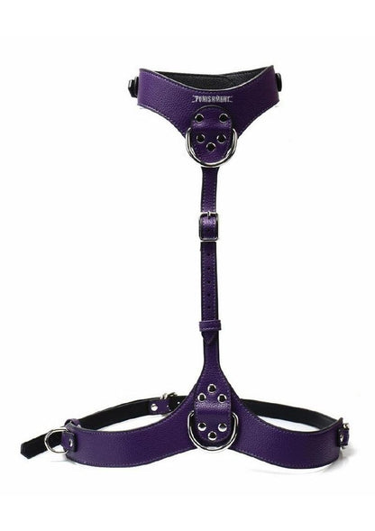 Punishment Body Harness - Silver
