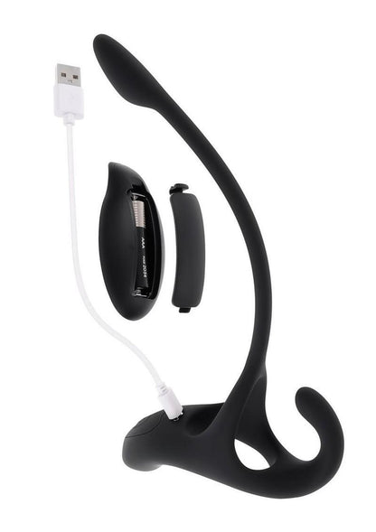 Zero Tolerance All The Bases Rechargeable Silicone Couples Ring and Plug with Remote